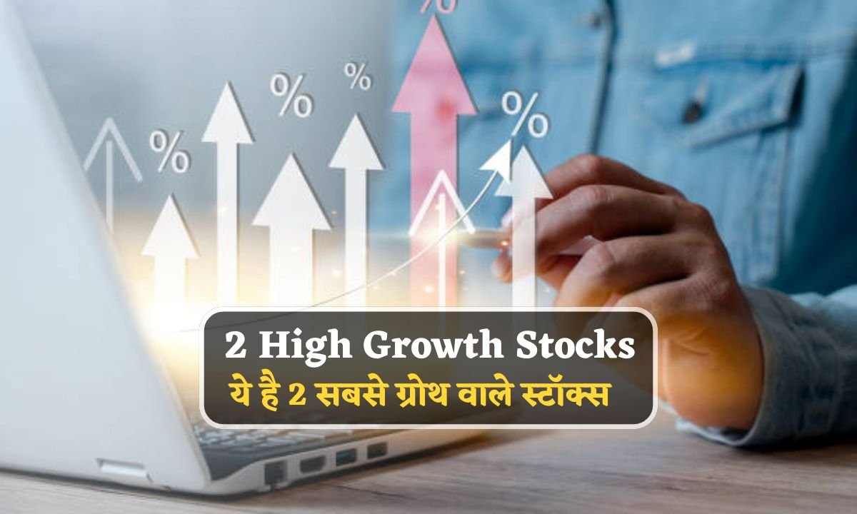 2 High Growth Stocks In 2024